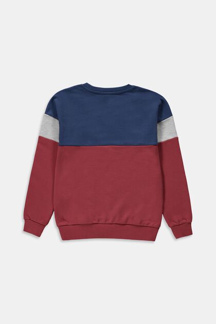 Sweatshirt im Colorblock-Design