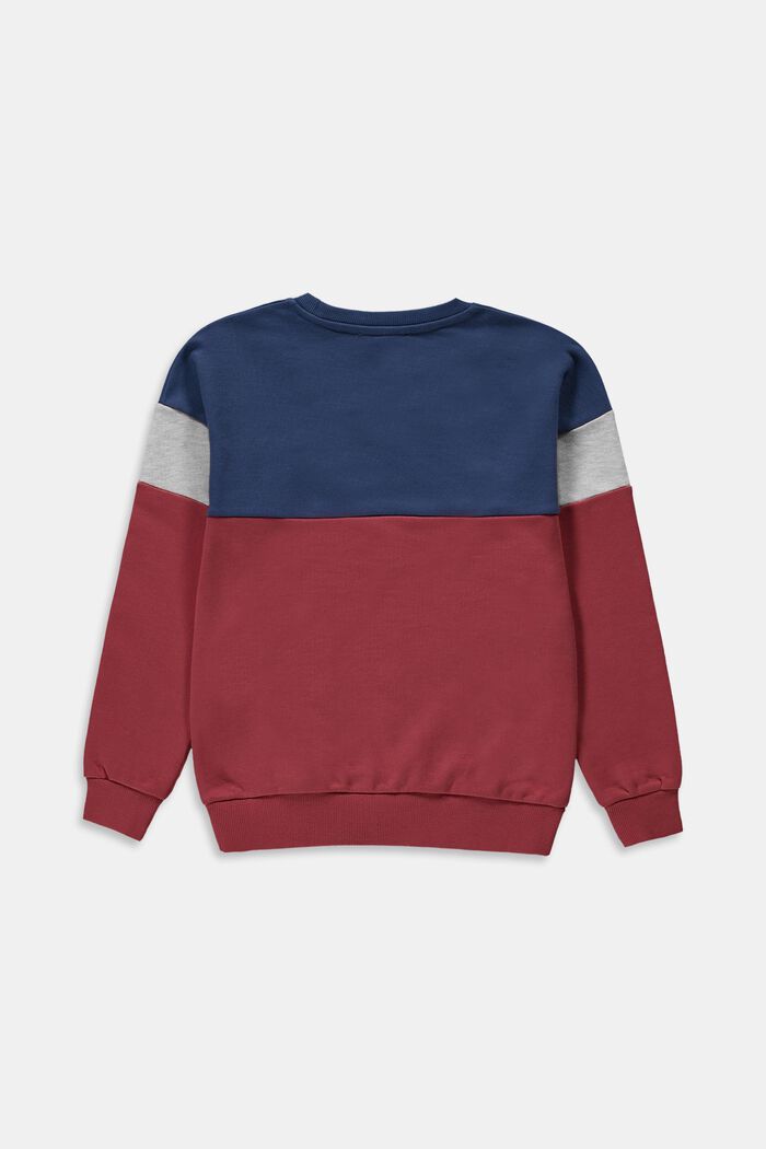 Sweatshirt im Colorblock-Design, GARNET RED, detail image number 1