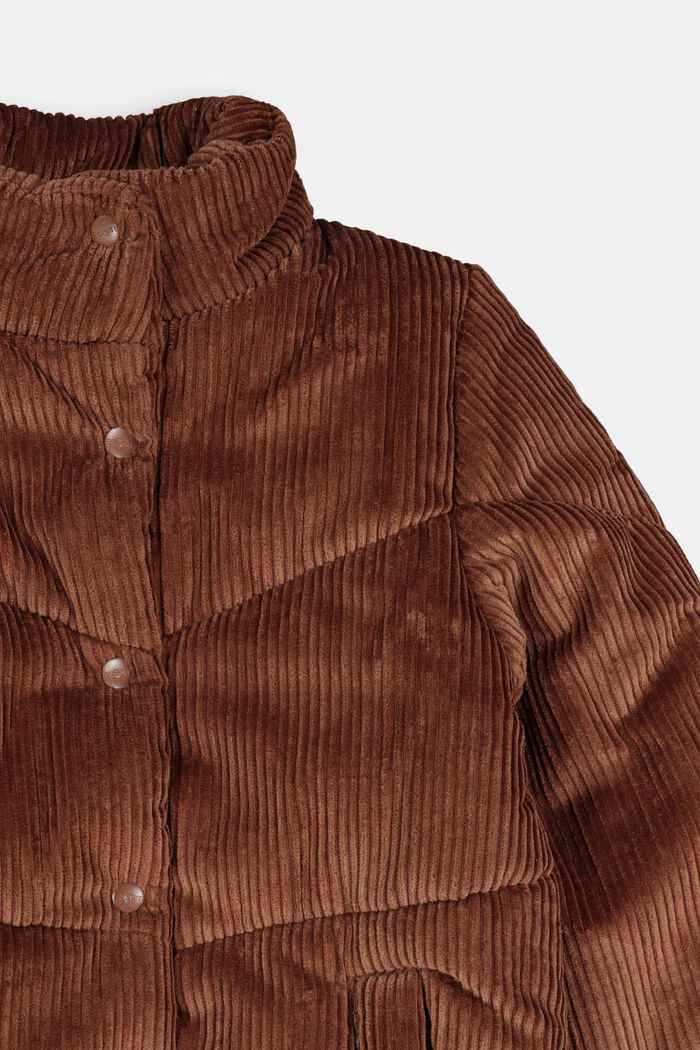 Wattierte Outdoor-Jacke aus Cord, DARK BROWN, detail image number 2