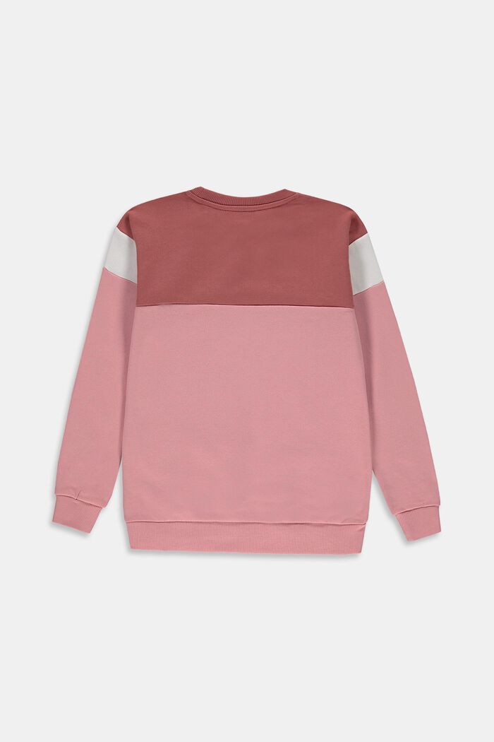 Colorblock-Sweatshirt aus 100% Baumwolle, MAUVE, detail image number 1