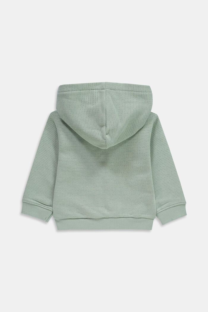 Zipper-Hoodie aus 100% Organic Cotton, LIGHT AQUA GREEN, detail image number 1