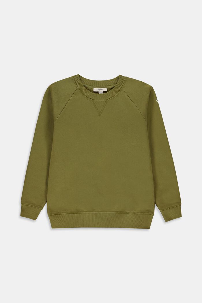 Sweatshirt aus 100% Baumwolle, LEAF GREEN, detail image number 0