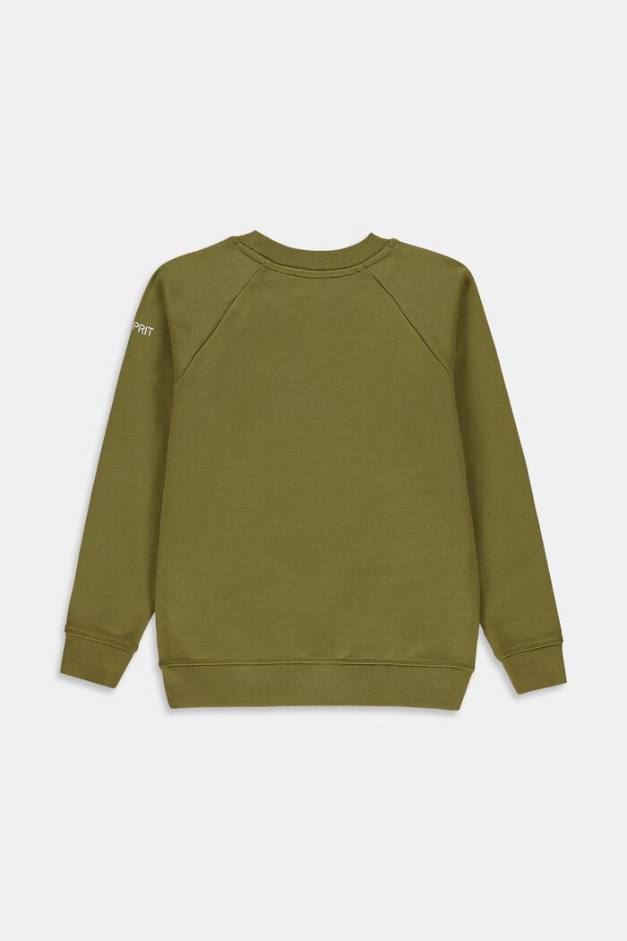 Sweatshirt aus 100% Baumwolle, LEAF GREEN, detail image number 1