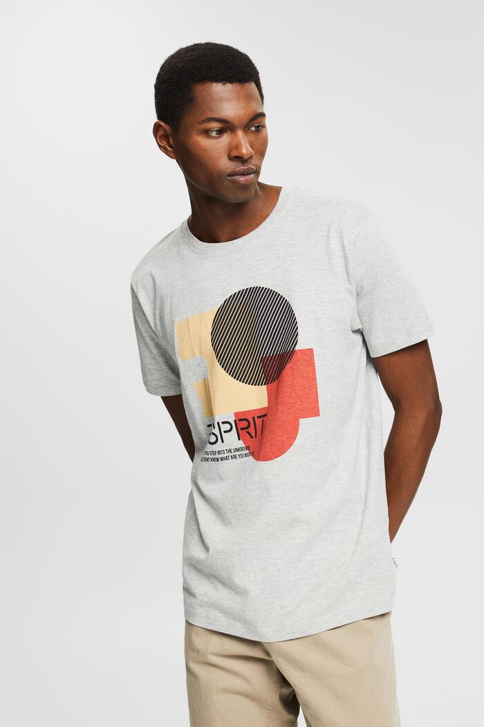 Jersey-T-Shirt mit Print, Bio-Baumwoll-Mix, LIGHT GREY, overview