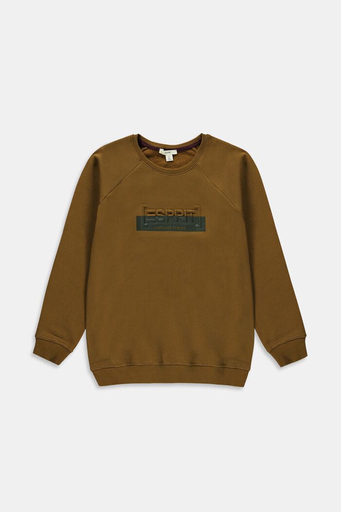 Sweatshirts, RUST BROWN, detail image number 0