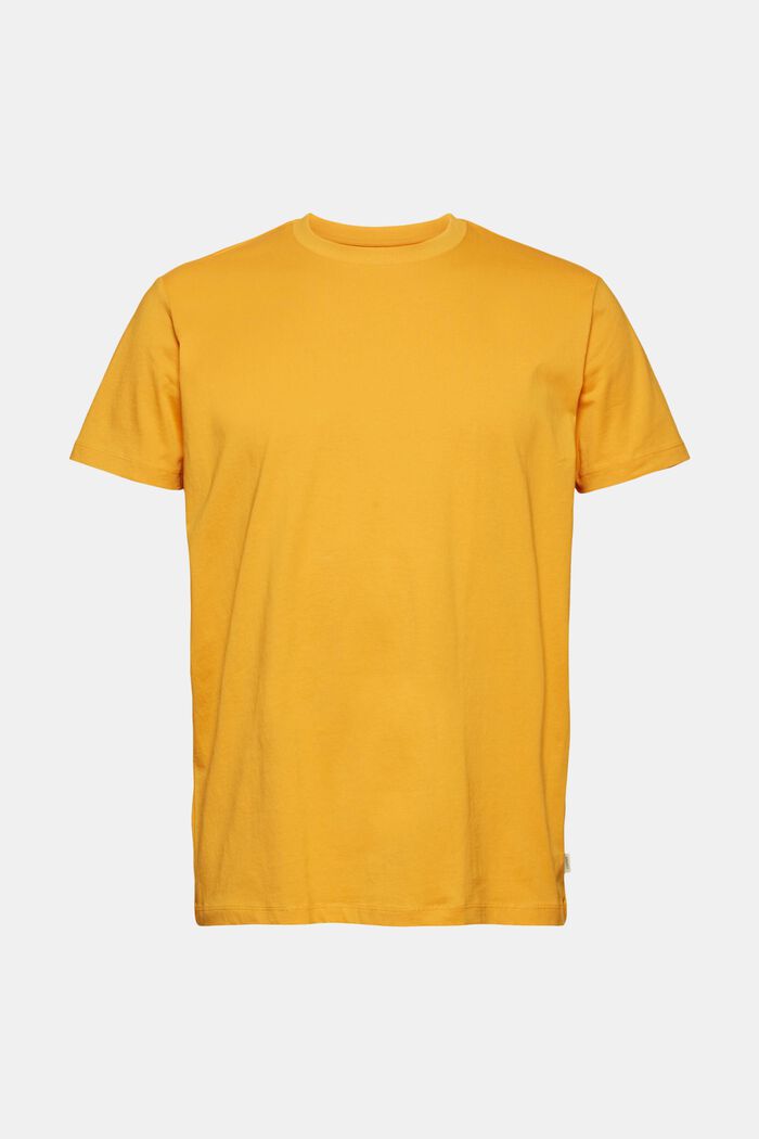 Jersey-T-Shirt aus 100% Organic Cotton, SUNFLOWER YELLOW, detail image number 0