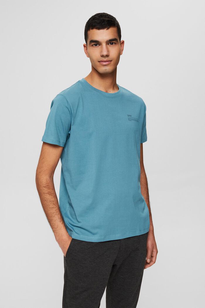 Jersey-T-Shirt mit Print, 100% Bio-Baumwolle, TURQUOISE, detail image number 0