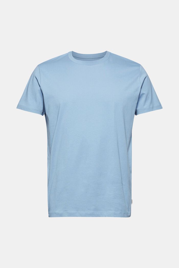 Jersey-T-Shirt aus 100% Organic Cotton, GREY BLUE, detail image number 0