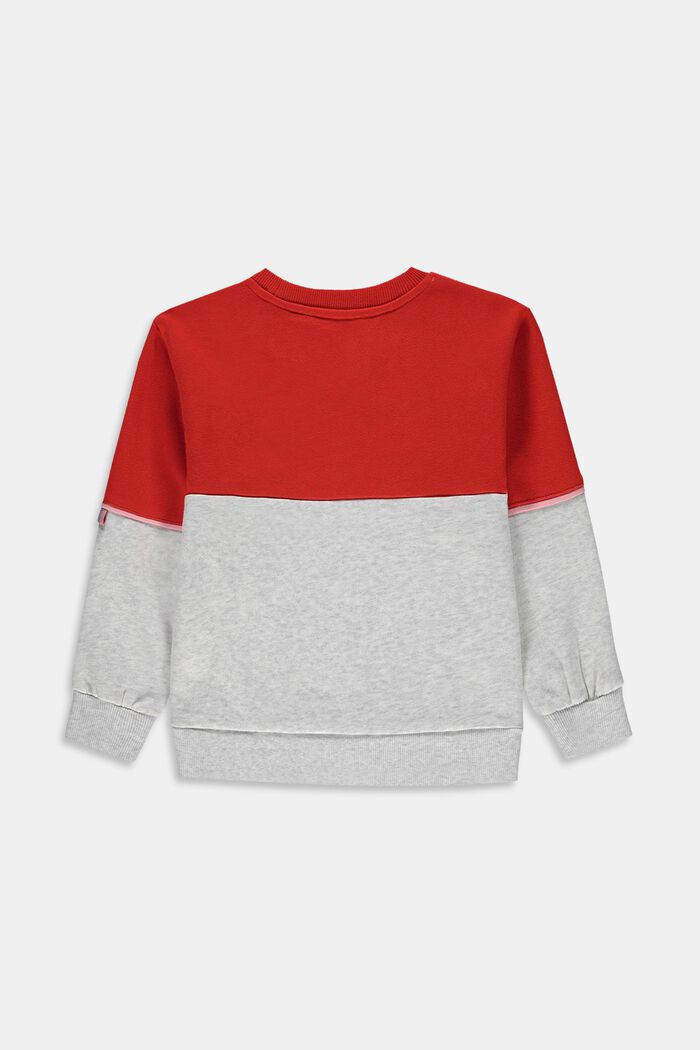 Sweatshirt mit reflektierendem Print, RED, detail image number 1