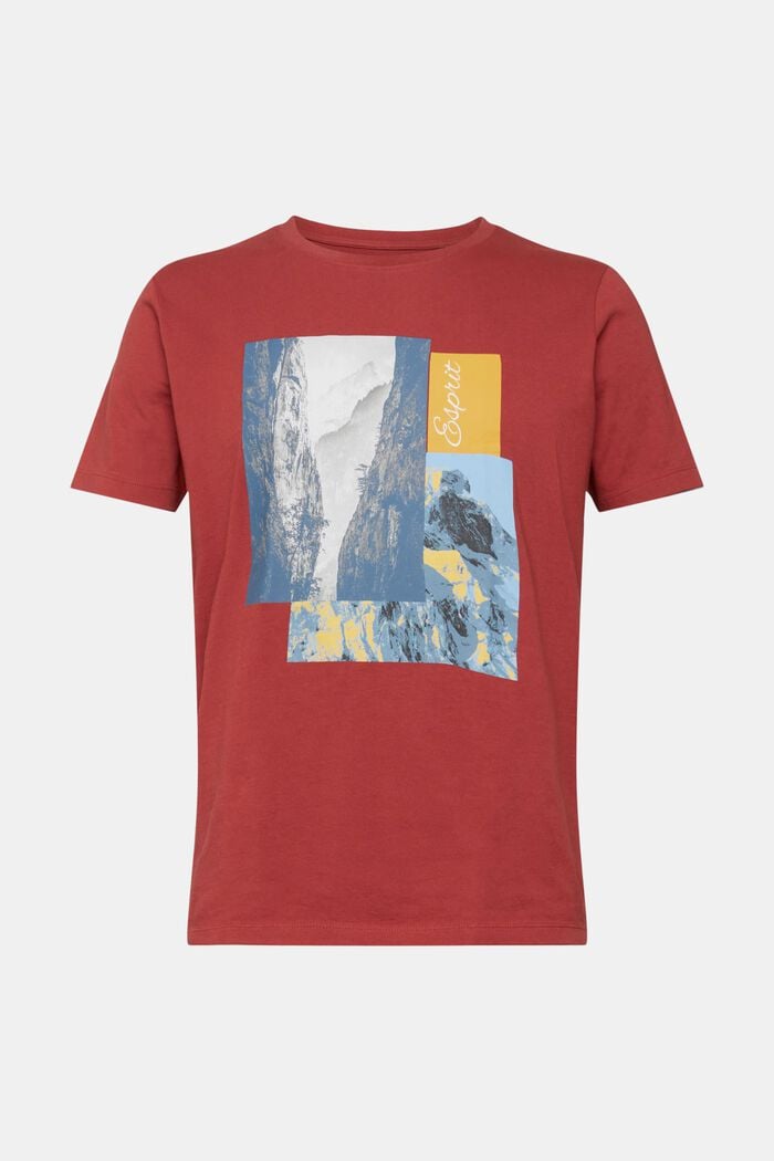 T-Shirt mit Print, TERRACOTTA, detail image number 6