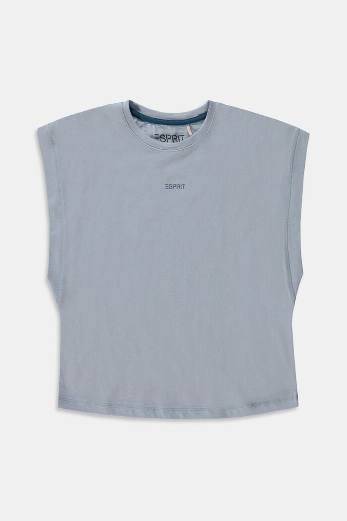 Boxy T-Shirt aus 100% Baumwolle, PASTEL BLUE, detail image number 0