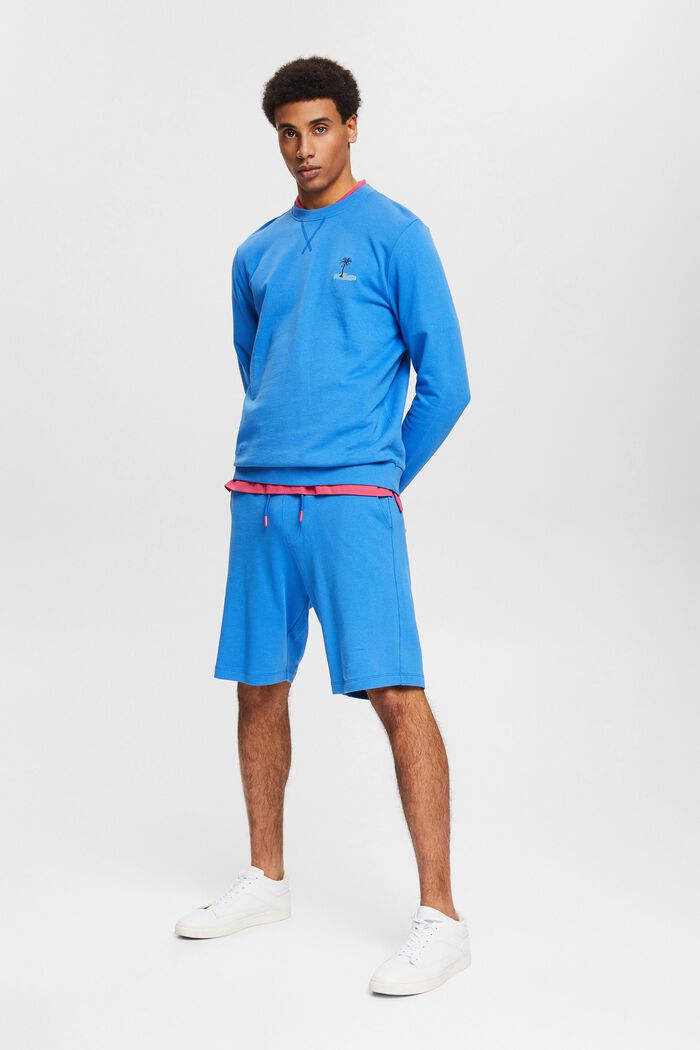 Sweatshirt mit kleiner Motiv-Stickerei, BRIGHT BLUE, detail image number 1